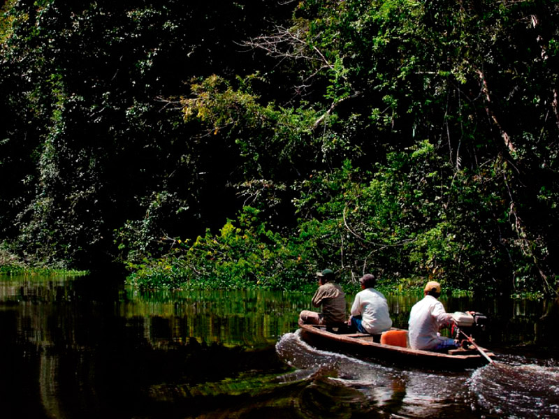 Tours In Pacaya Samiria National Reserve Peru