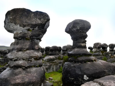 Cajamarca Bosque Sapitos Travel Pax Peru