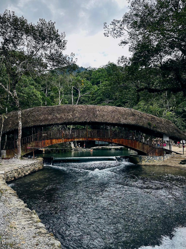 Tarapoto a Chachapoyas Alto Mayo - Travel Pax Perú