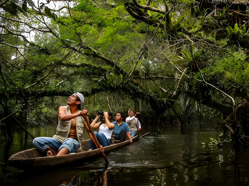 Tours Diarios Tarapoto Reserva Santa Elena